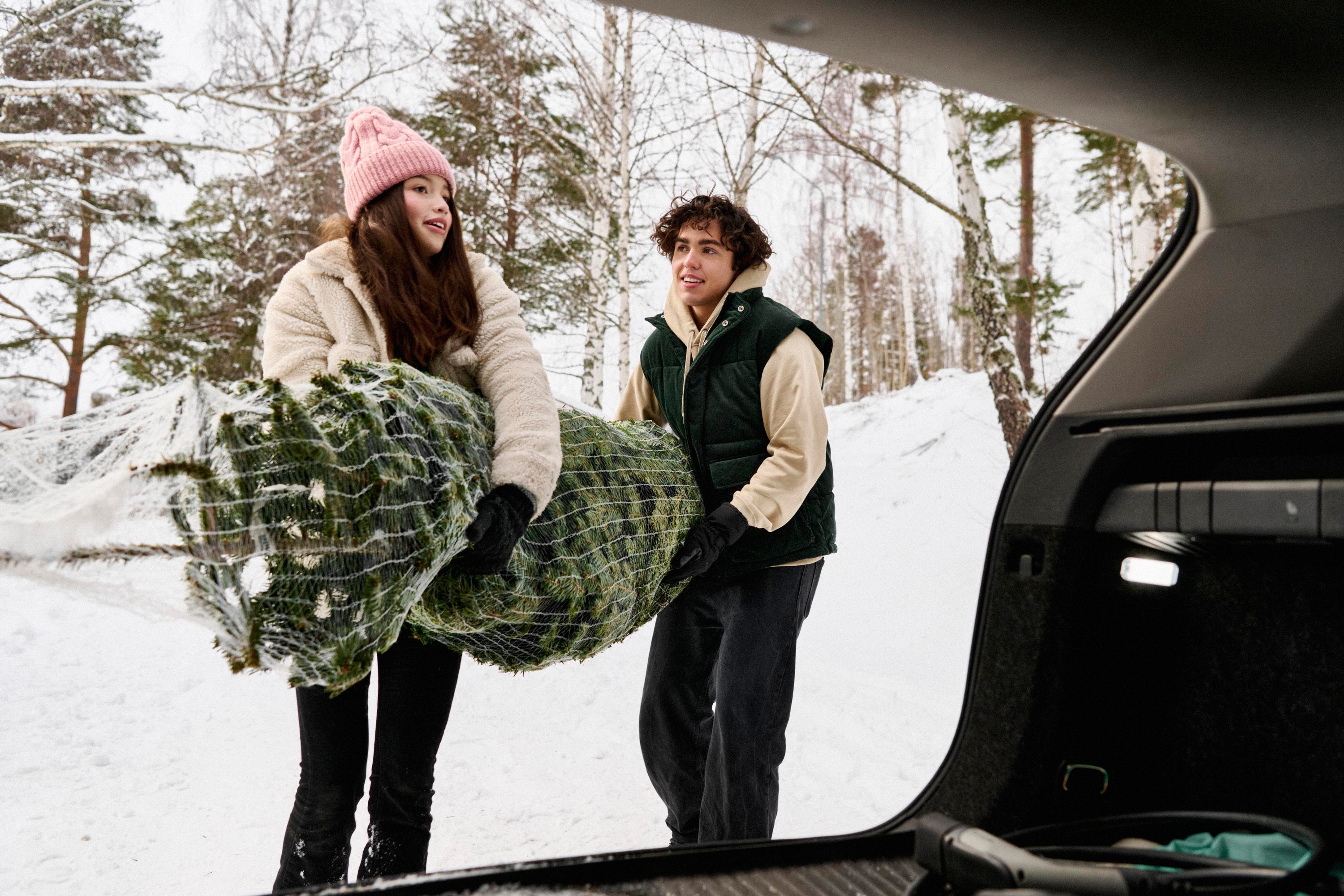 Tonåringar bär en julgran till en bil
